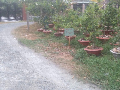 Chính chủ cần bán lô đất ở ấp hòa bình  - xã an hòa   h. trảng bàng   tây ninh. 2