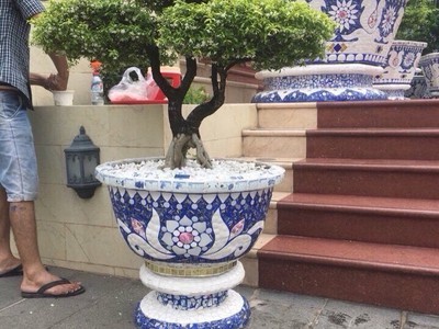 Chậu hoa dán miễng sành - chậu khảm sành sứ - nghệ nhân dán miễng sành sứ ,khảm miễng 16