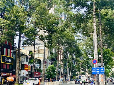 Cho thuê nhà 194 Trần Hưng Đạo, Nguyễn Cư Trinh, Q1. Trệt, 5 lầu, DT 500m2, 11pn chỉ 100tr 2