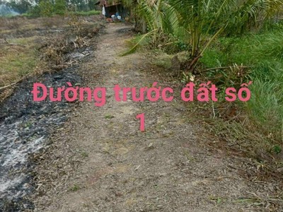 16000m2 đất vườn Thạnh Hòa,Bến Lức,Long An giá 5 tỷ 3