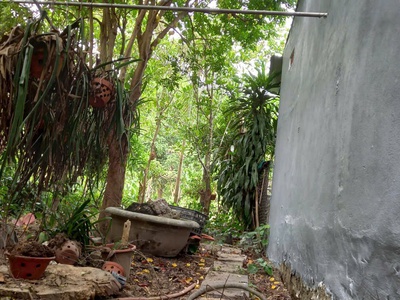 2d bán nhà Hòa Phước, Đà Nẵng 640m2 ngang 15m nở hậu hơn 3 tỷ làm nhà vườn, kho, phân lô đều tốt 0