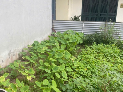 Cần bán đất vĩnh quỳnh giá rẻ diện tích 40m, gần ô tô giá 2.x tỷ 0