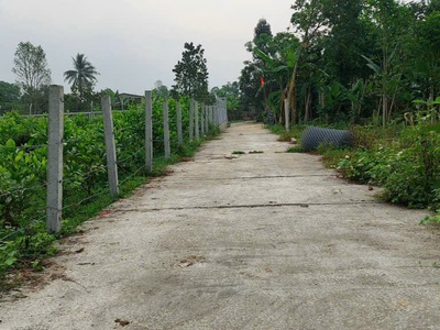 Đất nhà vườn rẻ đẹp gần nhà dân 1 tỷ 450tr/500m2 1