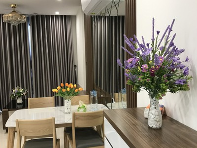 Chính chủ cho thuê căn chung cư 2n1vs   tầng 5a  vinhomes ocean park gia lâm 3