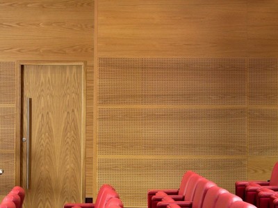 GỖ TIÊU ÂM Govietpro-Giải pháp cho mọi công trình Tiêu Âm 2