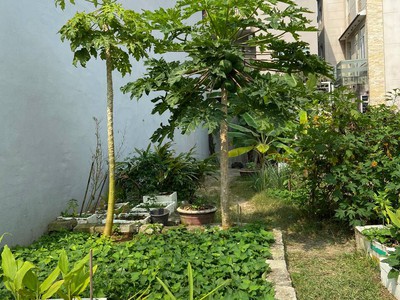 Bán đất 100m2 đường Thổ Sơn 2, Hòa Hải, Ngũ Hành Sơn, Đà Nẵng 2