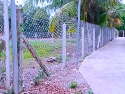 Mặt tiền an sơn 32, 686m  thổ cư 200m . đường xe tải ra vào, vị trí đông dân cư, 3