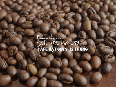 Cà phê máy Đồng Nai, Loại 1 - Ưu đãi giá sỉ tại Biên Hòa 0