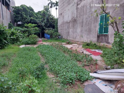 Bán đất mai lâm 251m2. 12.5m, 2 mặt ngõ, lô góc, 20 tỷ, đông anh. 1