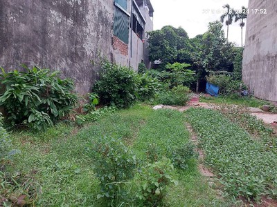 Bán đất mai lâm 251m2. 12.5m, 2 mặt ngõ, lô góc, 20 tỷ, đông anh. 2