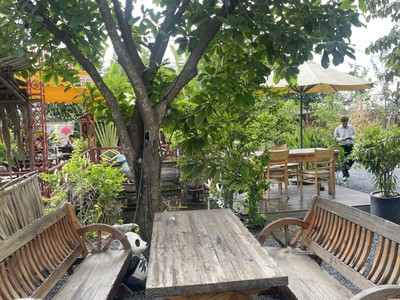 Bán nhà 20x50 thổ 225m2,đtc 775m2 đinh văn ước  hưng long bình chánh 2