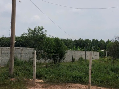 Đất vành đai 4 giả rẻ tại tân uyên ,bình dương 2