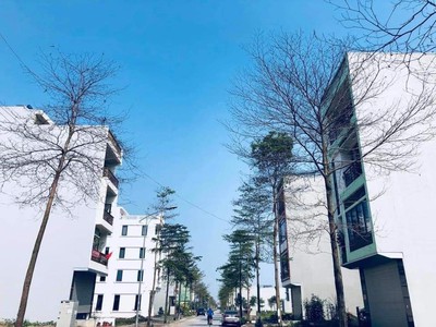 Chính chủ gửi bán lô đất liền kề B1.3 LK13 mặt đường 30m vị trí đẹp nhất KDT Thanh Hà Cienco 5 1