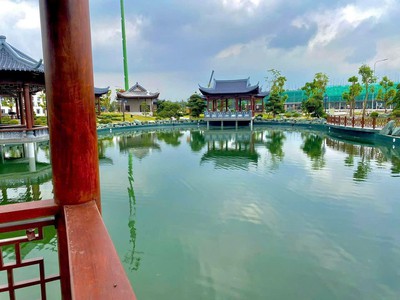 01 Căn Liền Kề Vip tại PK Đảo Vua, hưởng mọi tiện ích như Vua mà giá bán chỉ 11 Tỷ   TTS 1