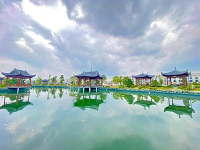 01 Căn Liền Kề Vip tại PK Đảo Vua, hưởng mọi tiện ích như Vua mà giá bán chỉ 11 Tỷ   TTS 8