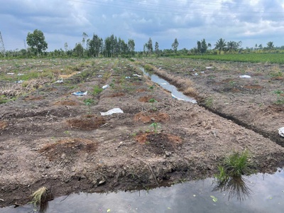 4ha đất vườn xã Thạnh Hòa,Bến Lức,Long An giá 15 tỷ 2