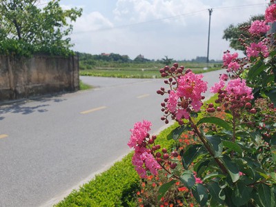 Bán đất xóm trại xuân nộn, 75m x 5m vuông vắn, oto tránh thông chỉ 2 tỷ 8 tl. 4