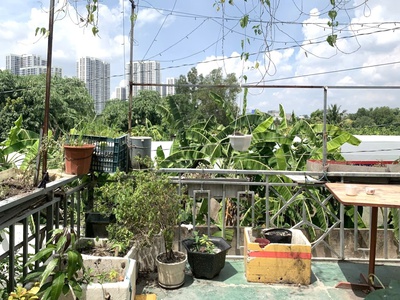 Giá rẻ mới vể, long thạnh mỹ, q 9, 53m2 4 x 13 2 tầng, hẻm xe hơi, chỉ 3.35 ty 2