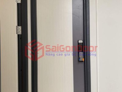Cửa Thép Vân Gỗ DELUXE - Thiết Kế Trang Nhã Hiện Đại 1