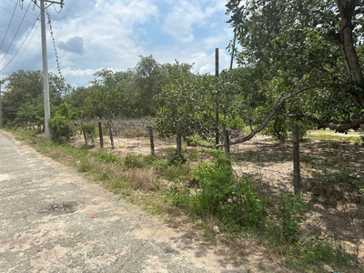 Bán đất mặt tiền đường nhựa 22x61 thổ cư 100m2 thôn 3,tân hà,đức linh,bình thuận 0