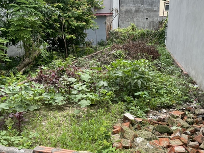 Hàng đẹp 51m2 mặt đường lớn chân cầu nhật tân- ngọc chi , vĩnh ngọc 2