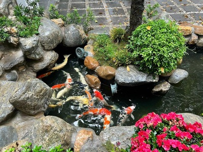 Bán Biệt Thự Sân Vườn - TT Ba Đình- DT 200M x 4T ; MT 10m 0