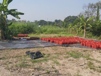 Đất đẹp - giá tốt - chính chủ bán đất mặt tiền bê tông tại xã hướng thọ phú, tp tân an, long an 3