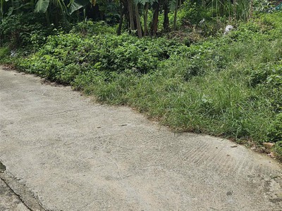Bán đât đồng tâm, vĩnh yên 90.8m2 ôtô vào giá chỉ 1.3 tỷ 2