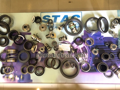 Sửa chữa phớt máy bơm nước 1