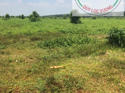 Bán đất diện tích 117.160m2 tại khu công nghệ cao xã xuân đường, huyện Cẩm Mỹ, Đồng Nai . 2