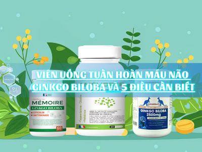 Viên uống bổ não ginkgo pháp chính hãng giá bao nhiêu 0