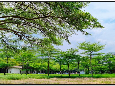 Cho thuê shop house cc ehome3 tiện hoạt động các loại hình 0