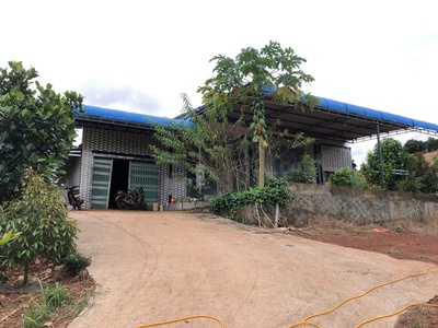 Bán đất thôn 8 , xã trường xuân, huyện đak song , tỉnh đak nông 3