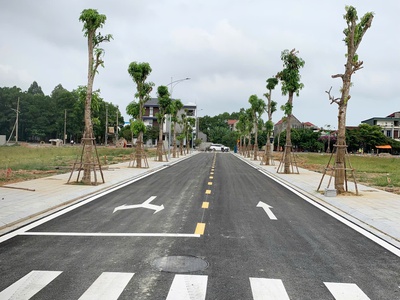 Chỉ với 3xx sở hữu ngay lô đất nền sổ đỏ lâu dài ngay trung tâm thị xã Nghi Sơn 0