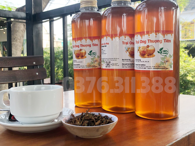 Mật Ong Hoa Cà Phê Từ Trại Ong Thượng Tiên 0