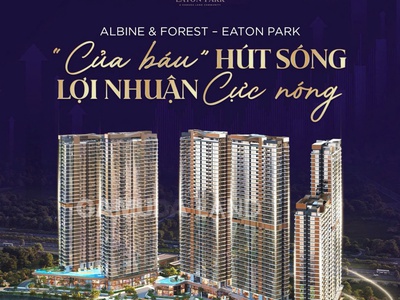 Eaton park-chuẩn chỉnh pháp lý   tiến độ thì công lên nhận hđmb mà có thêm quà mang về nữa 0