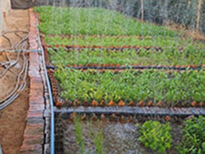 Cần tiền cho con đi học bán nhà vườn và đất 2500m2 huyện sông hinh, phú yên 4