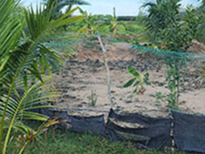 Cần tiền cho con đi học bán nhà vườn và đất 2500m2 huyện sông hinh, phú yên 1