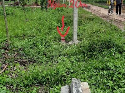 Chính chủ cần bán 2 lô đất liền kề ở ấp bàu lùn - xã bình minh - tp. tây ninh - tỉnh tây ninh. 1