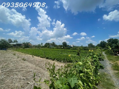 Bán đất xã quy đức huyện bình chánh, 2tr5/m2 ra nhanh trong tháng 1