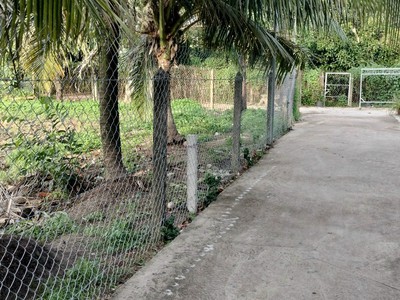 Bán đất dường  an sơn 32 thành phố thuận an, bình dương giá rẽ  diện tích ngang 15m x dài 31m 4