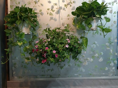 Cho thuê chung cư miếu nổi, vũ huy tấn, phường 3, bình thạnh, tp hcm 2