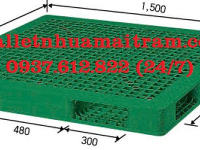 Pallet nhựa Mai Trâm dẫn đầu thị trường Thủ Dầu Một 13