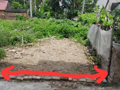 Cần bán lô đất 56m ngõ 54 tràng cát, hải an. 2