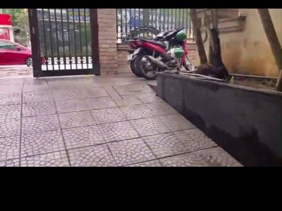 Cho thuê biệt thự mp kinh doanh đỉnh phố lạc long quân, tây hồ 202m - 4tầng - mt 8m- giá 130tr 4