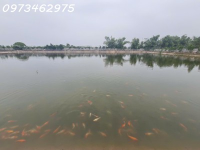Chính chủ cần sang nhượng trang trại, khu nghỉ dưỡng, làm kho xưởng tại thị trấn phú minh, huyện 2