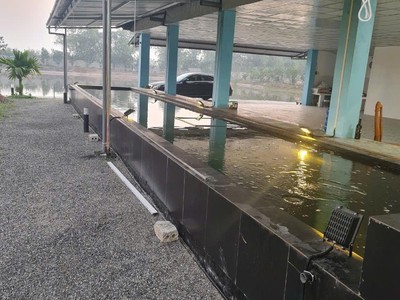 Chính chủ cần sang nhượng trang trại, khu nghỉ dưỡng, làm kho xưởng tại thị trấn phú minh, huyện 3