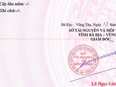 Chuyển nhượng  hơn 10 héc  ta đất trong KCN Châu Đức, Suối Nghệ, BRVT 1