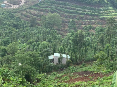 Phường Bàu Sen- T.p Long Khánh 0