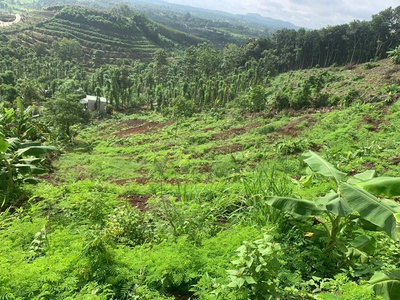 Phường Bàu Sen- T.p Long Khánh 4